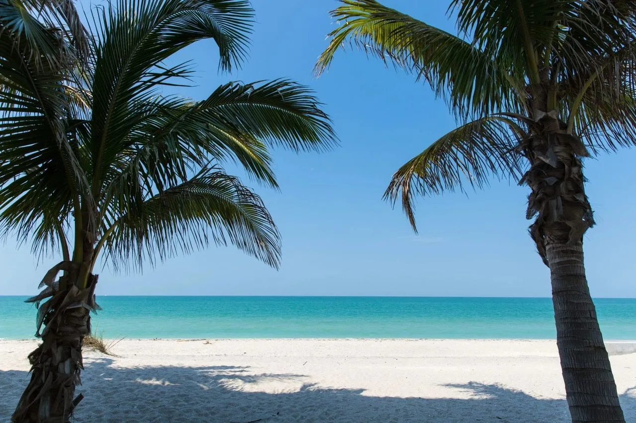 View of a white sand beach and turquoise Gulf water framed by two palm trees